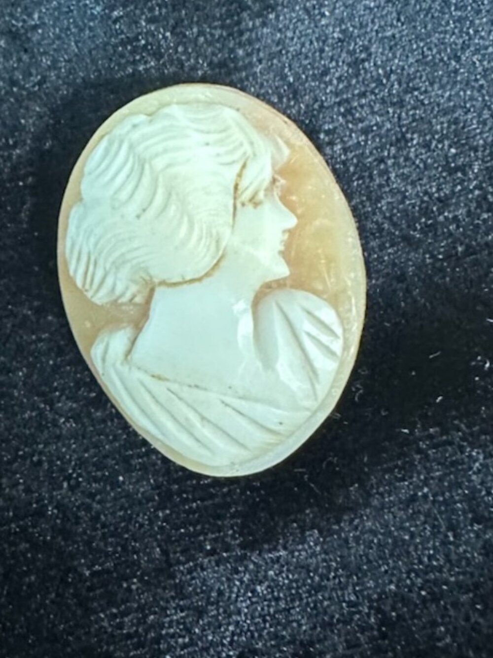 Antique (19th Century) Italian Carved Shell Cameo